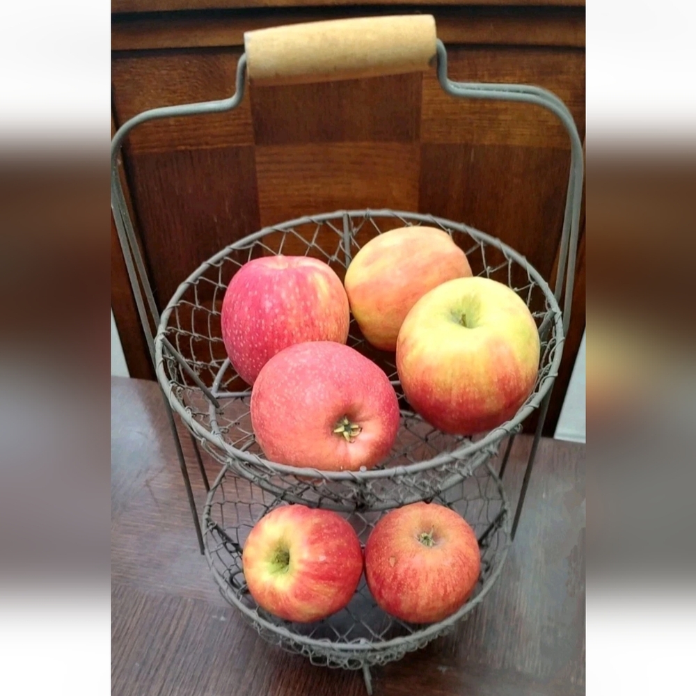 2 Tier Chicken Wire Look Caddy/Basket Wooden Top Handle & Feet Shabby/Farm Style - Picture 3 of 7